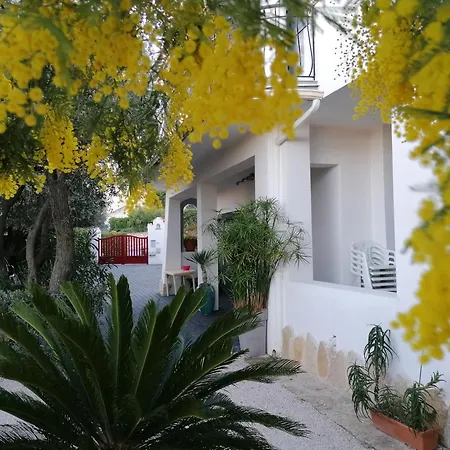 Apartment L'envolee Douce La Ciotat
